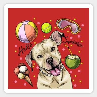 Pitbull Hello Summer Sticker